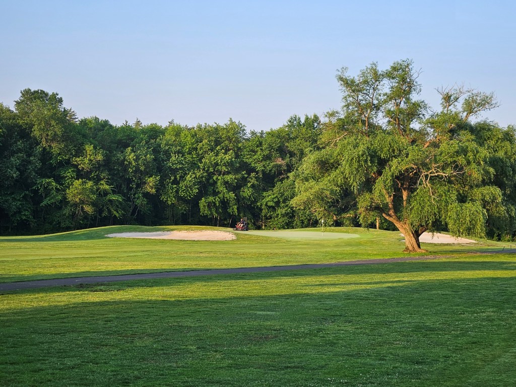 Trees on golf course